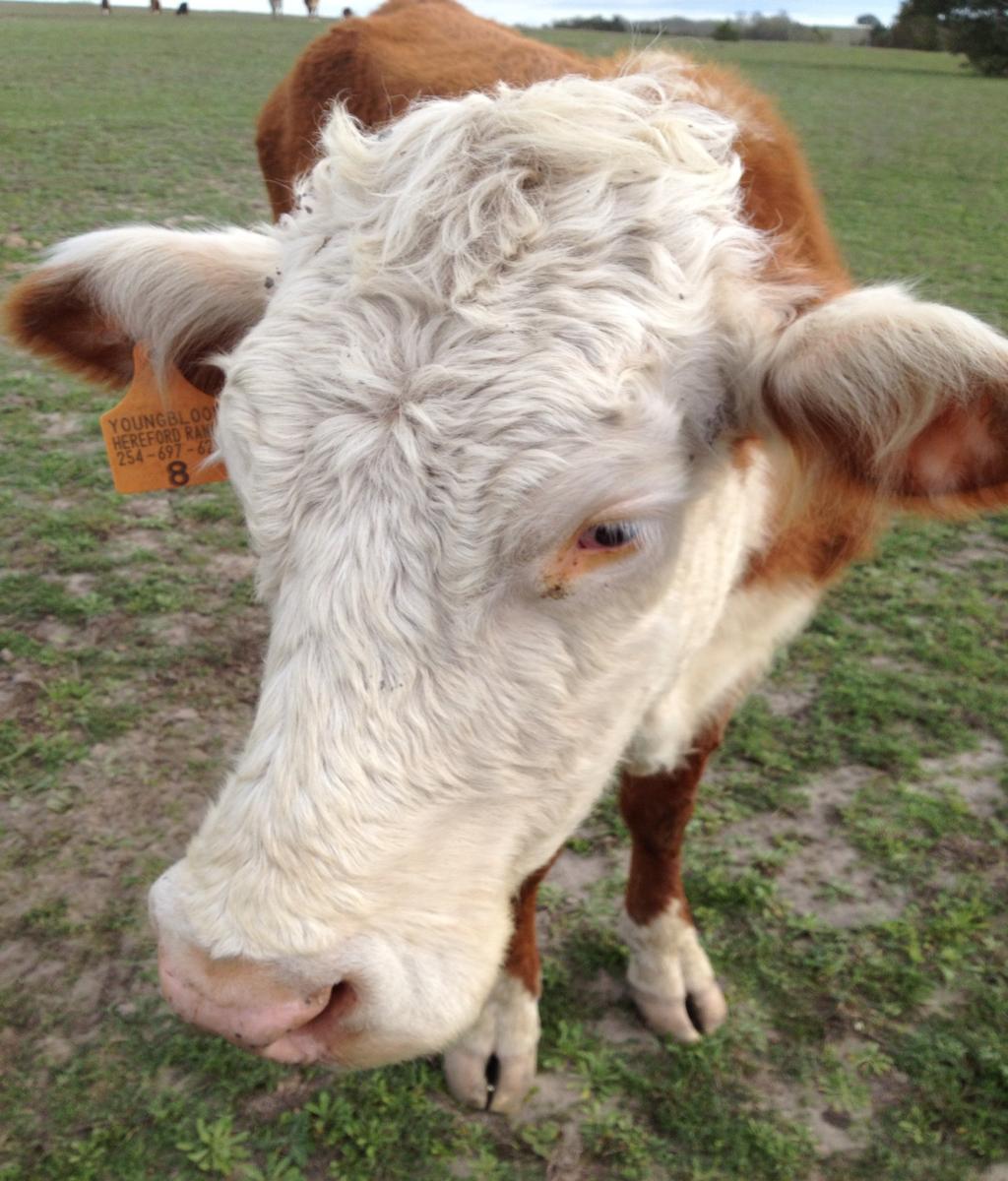 Profile picture